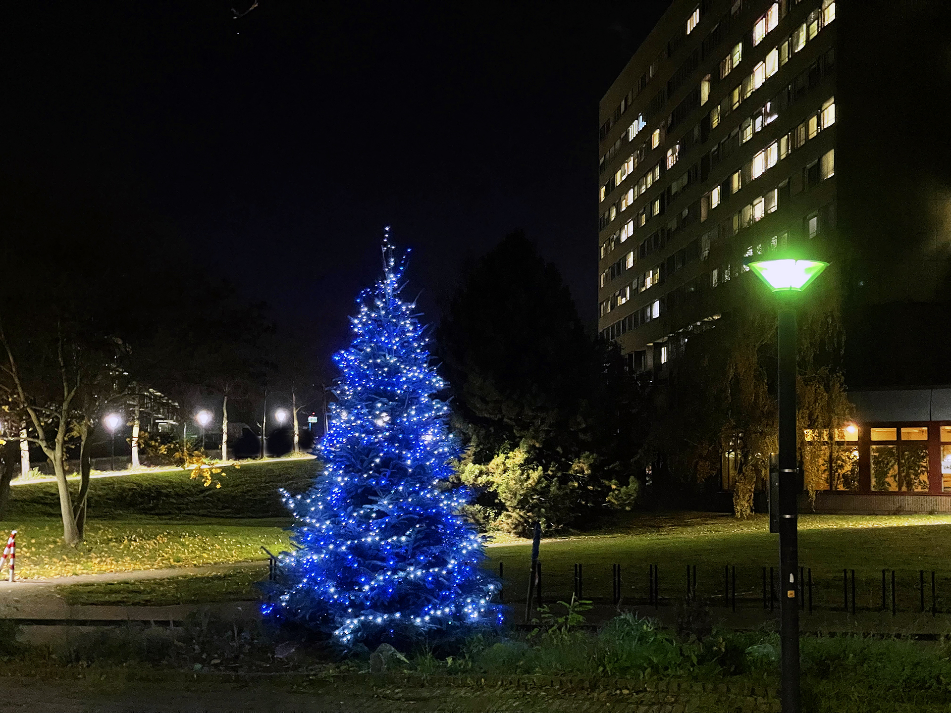 Weihnachtsbaum 2021 an der HHU und UKD