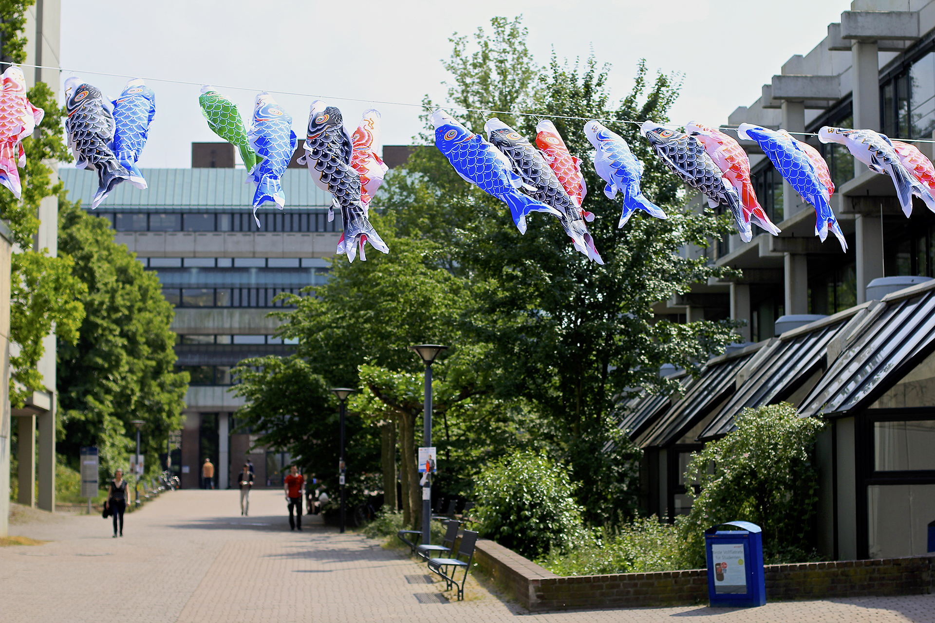 Japanfest auf dem HHU-Campus